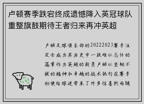 卢顿赛季跌宕终成遗憾降入英冠球队重整旗鼓期待王者归来再冲英超